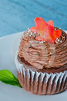 Chocolate cupcake with an orange leaf