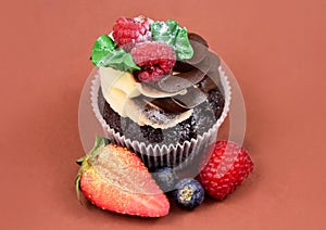 Chocolate cupcake with raspberries still life stock images