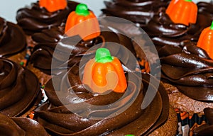 Chocolate cupcake with swirled chocolate frosting and orange sugar pumpkin.
