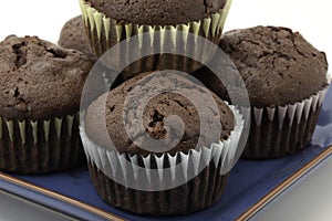 Chocolate cupcakes