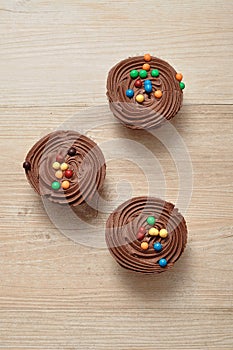 Chocolate Cupcakes with chocolate frosting