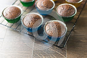 Chocolate cupcakes in colorful foiled wrappers