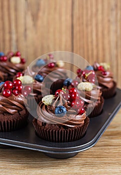 Chocolate cupcakes decorated with chocolate cream and summer berries