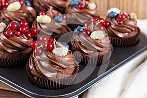 Chocolate cupcakes decorated with chocolate cream and summer berries