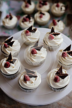 Chocolate cupcakes. Homemade chocolate muffins.