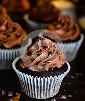 Chocolate cupcakes with chocolate icing photo