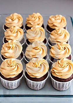 Chocolate cupcakes with peanut butter cream cheese frosting on glass tray. Plain grey background