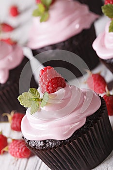 Chocolate cupcakes with pink cream and raspberry macro. Vertical