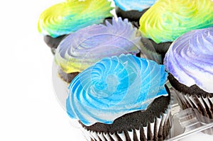 Chocolate Cupcakes with Swirled Frosting