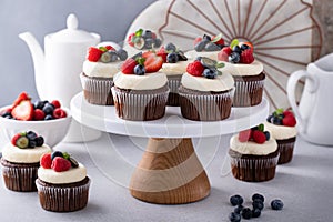 Chocolate cupcakes with vanilla buttercream frosting and fresh berries