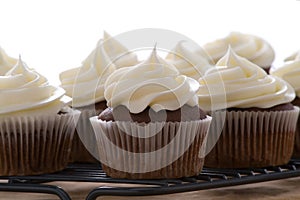 Chocolate cupcakes with vanilla frosting on a white background