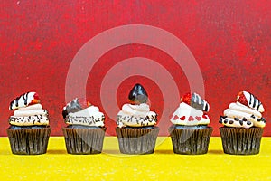 Chocolate Cupcakes on wood vintage background