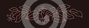 Chocolate design element for candy box. Cocoa bean. Beans and branches leaves. Editable outline stroke. Vector line.