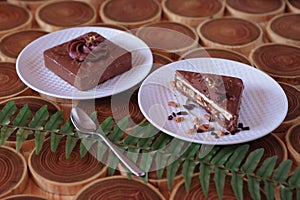 chocolate dessert in a cut with filling of caramel, nuts and nougats. The cake is covered with chocolate on a wooded