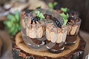 Chocolate dessert topped with cream and blackberry