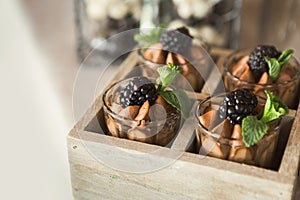 Chocolate dessert topped with cream and blackberry