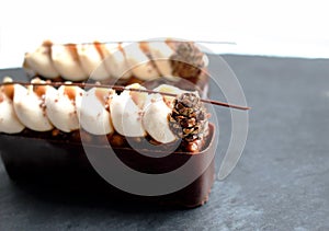 Chocolate desserts with caramel, piped hazelnut ganache and pinecone