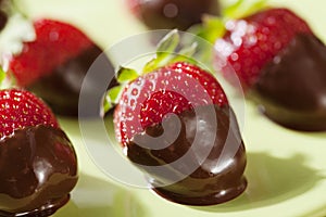 Chocolate dipped strawberries photo