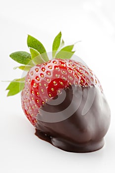 Chocolate dipped strawberries