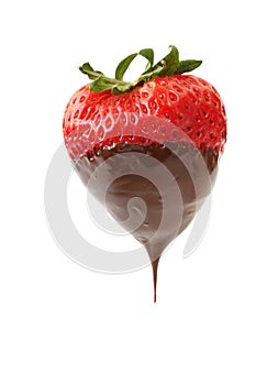 Chocolate Dipped Strawberry photo