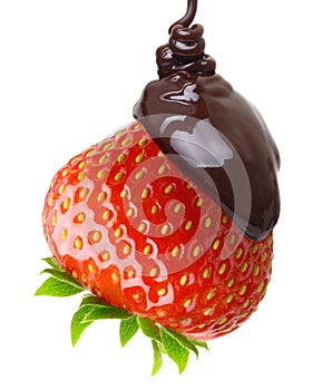 Chocolate drop on red berry strawberry