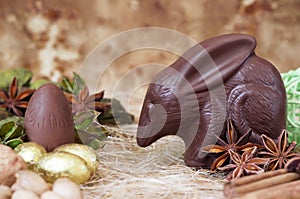 Chocolate Easter bilby