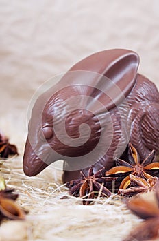 Chocolate Easter bilby