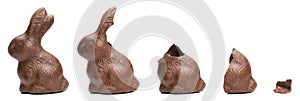 Chocolate Easter Bunny eating sequence