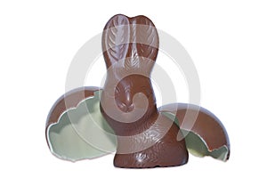 Chocolate easter bunny with egg