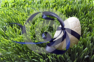 Chocolate Easter egg with ribbon bow in the grass
