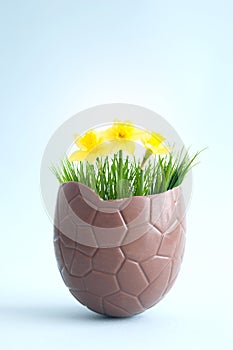 Chocolate easter egg spring flowers