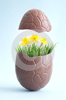 Chocolate easter egg spring flowers