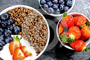 Chocolate Flavoured Breakfast Cereals With Fresh Fruit photo