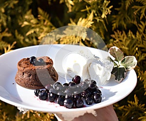 Chocolate Fondant with Ice Cream and Wild Berries