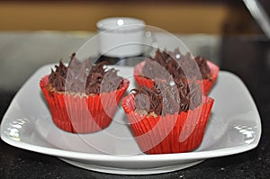 Chocolate Frosted Cupcakes