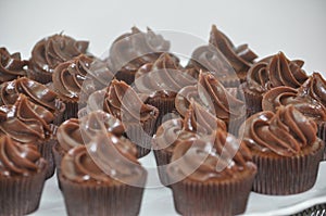 Chocolate frosted cupcakes