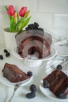 Chocolate fudge cake. Decorate with curl of dark chocolate