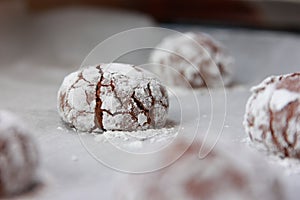 Chocolate gingerbread cookie