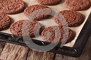 Chocolate gingerbread cookies on the baking sheet. Horizontal