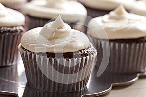 Chocolate gourmet cupcakes