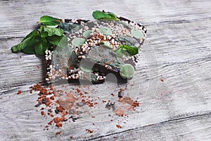 Chocolate, hand-made with mint leaves, candied violets, lemon ca