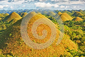 Chocolate Hills photo