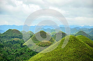 Chocolate Hills