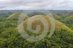 Chocolate hills , Bohol