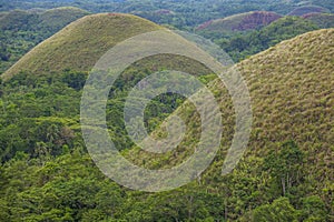 Chocolate hills , Bohol