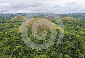 Chocolate hills , Bohol