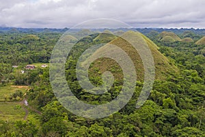 Chocolate hills , Bohol