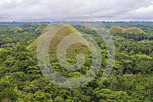 Chocolate hills , Bohol