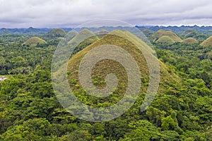 Chocolate hills , Bohol