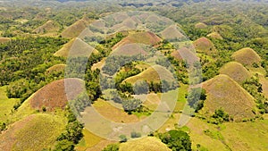 Chocolate hills.Bohol Philippines.